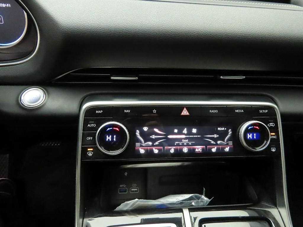 Genesis GV80 - Vista 10