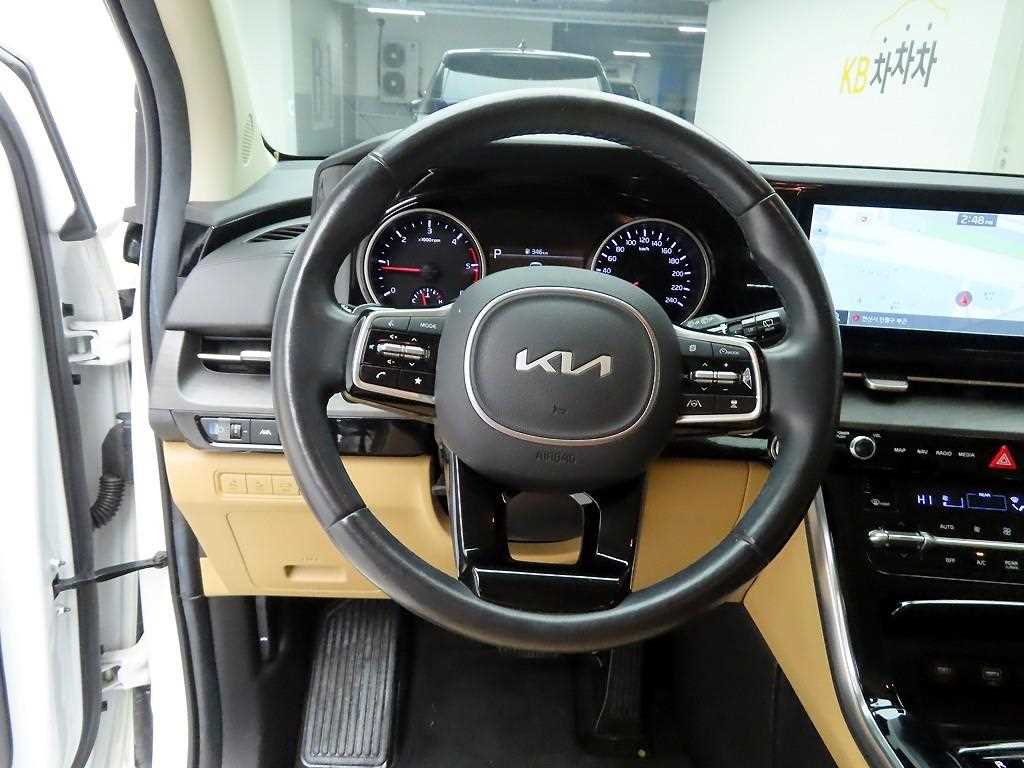 KIA Carnival - Vista 8