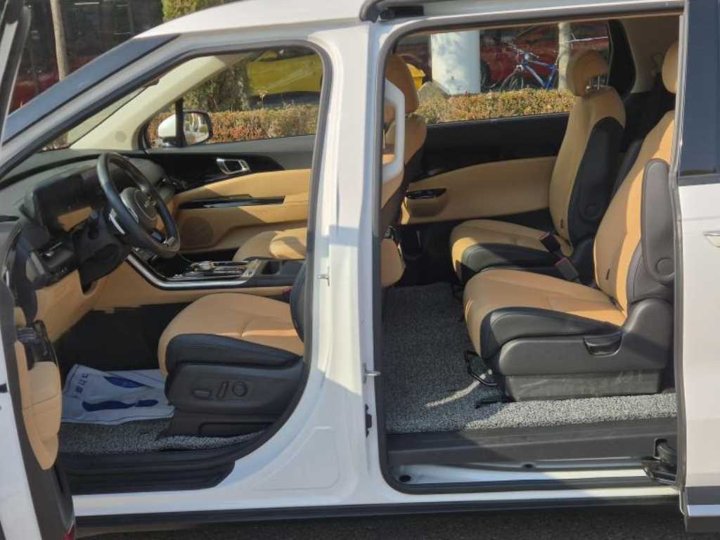 KIA Carnival - Vista 11