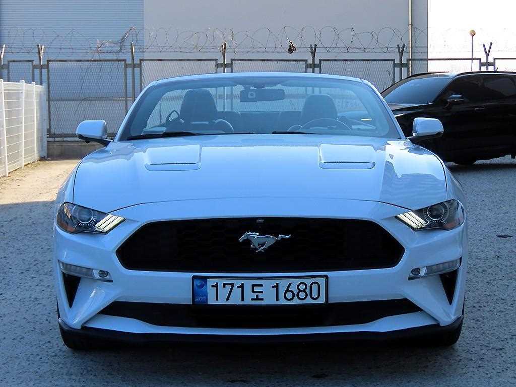 Ford Mustang - Vista 5