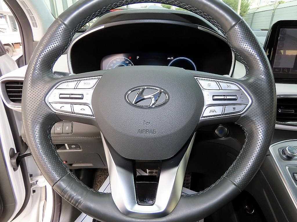 HYUNDAI Santa Fe - Vista 10