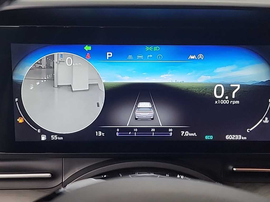 KIA Carnival - Vista 6