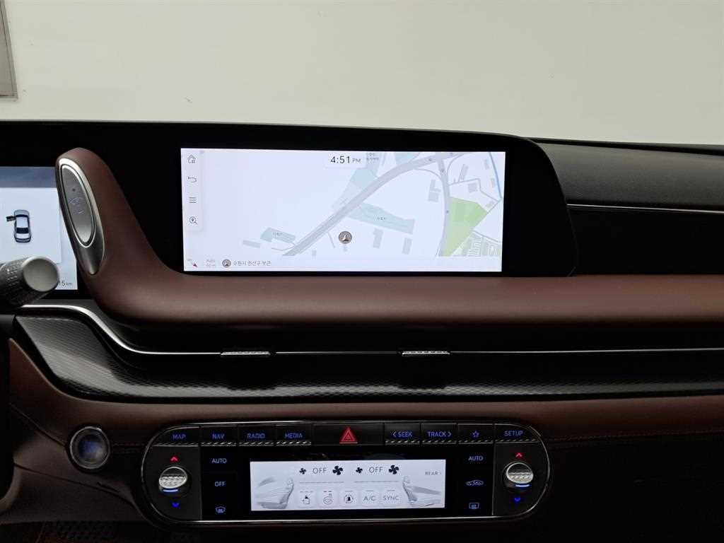 Genesis G90 - Vista 9