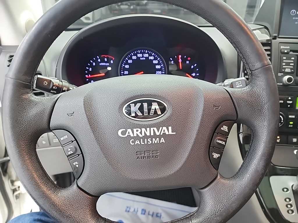 KIA Carnival - Vista 9