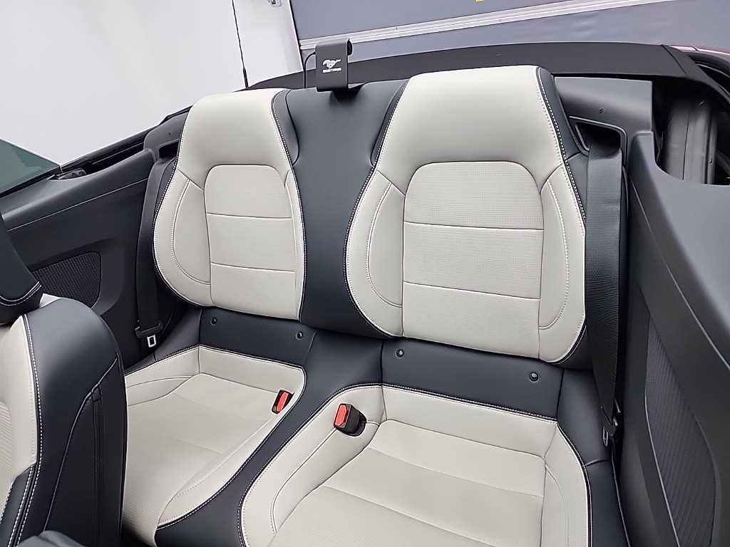 Ford Mustang - Vista 12