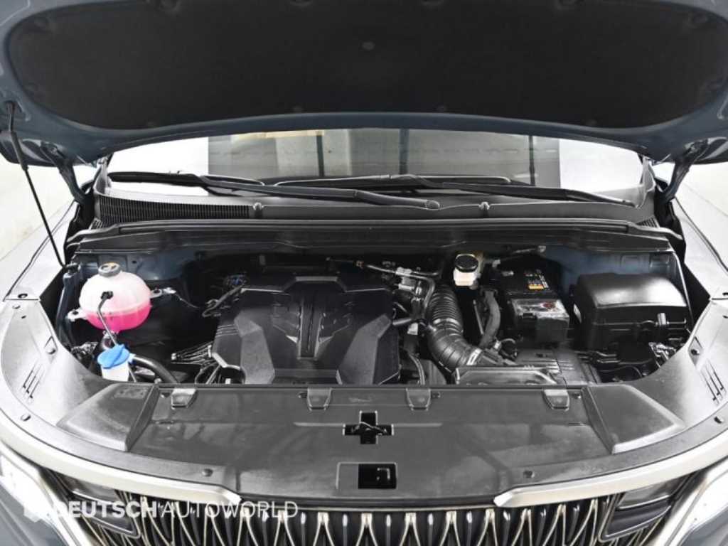 KIA Carnival - Vista 6