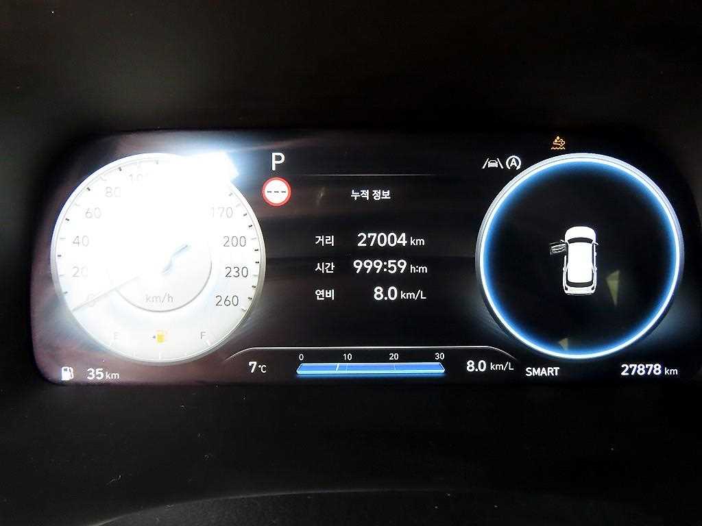 HYUNDAI Palisade - Vista 9