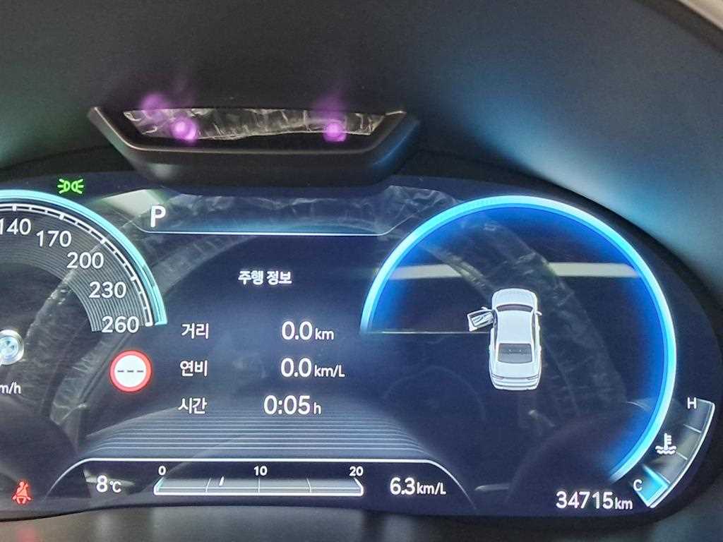 Genesis G80 - Vista 8