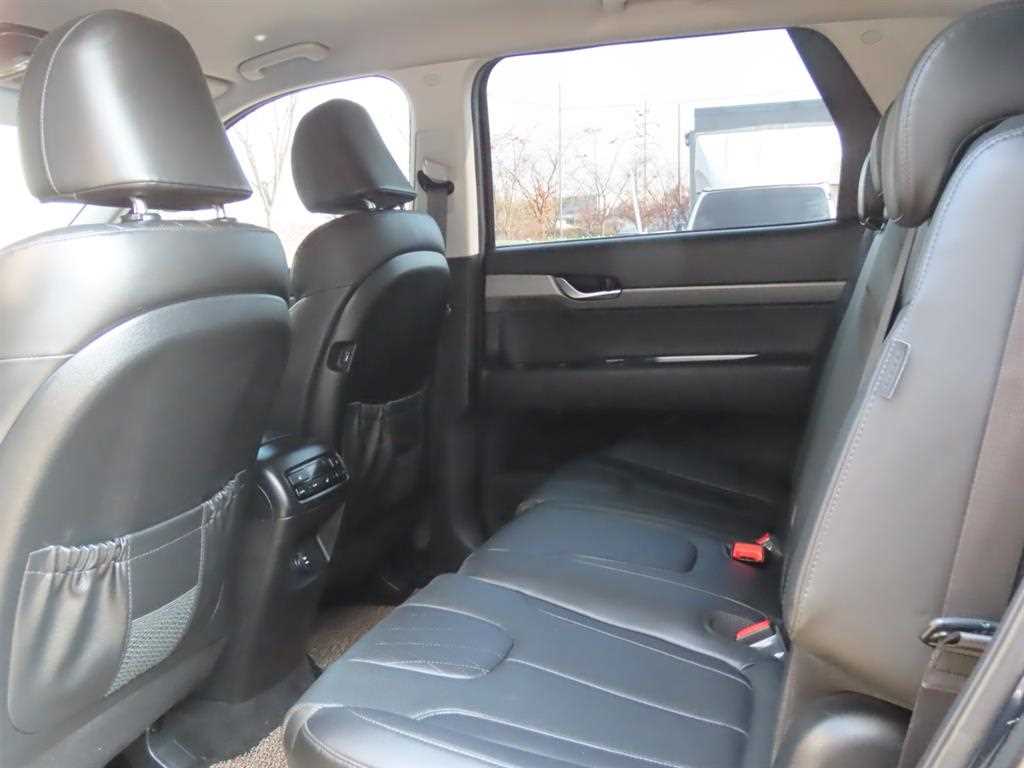 HYUNDAI Palisade - Vista 7