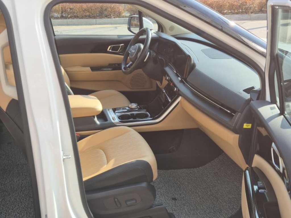 KIA Carnival - Vista 8