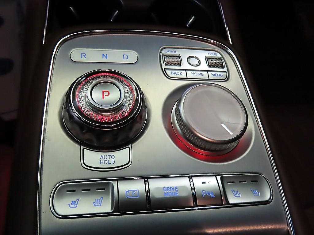 Genesis G90 - Vista 12