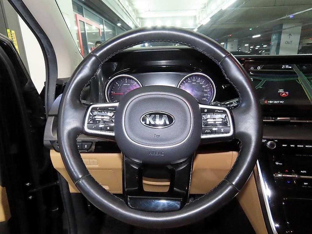 KIA Carnival - Vista 8