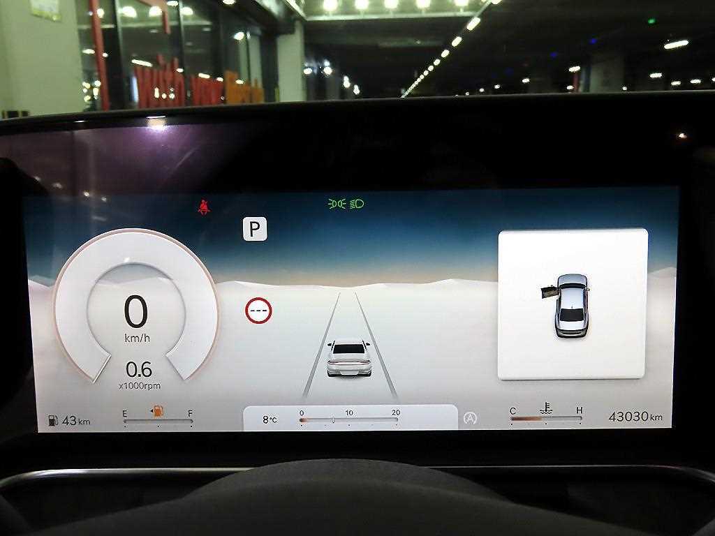 Genesis G90 - Vista 9