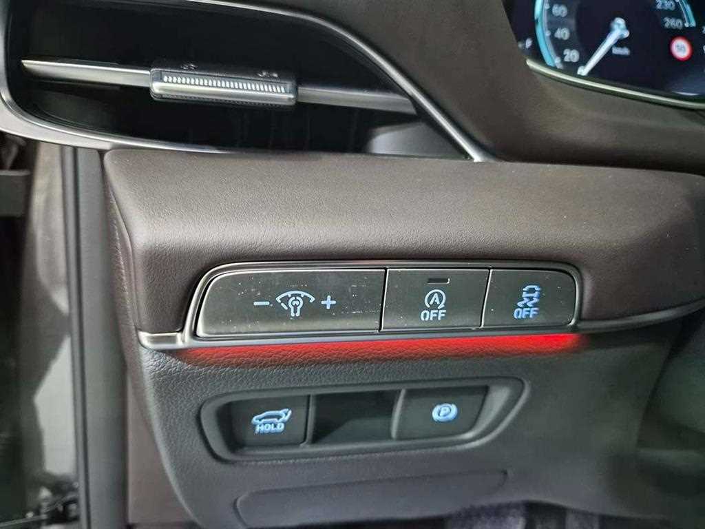 Genesis GV80 - Vista 12