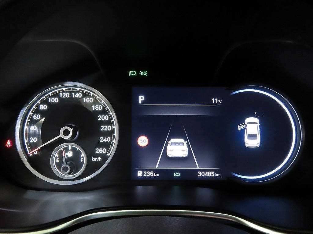 Genesis G80 - Vista 9