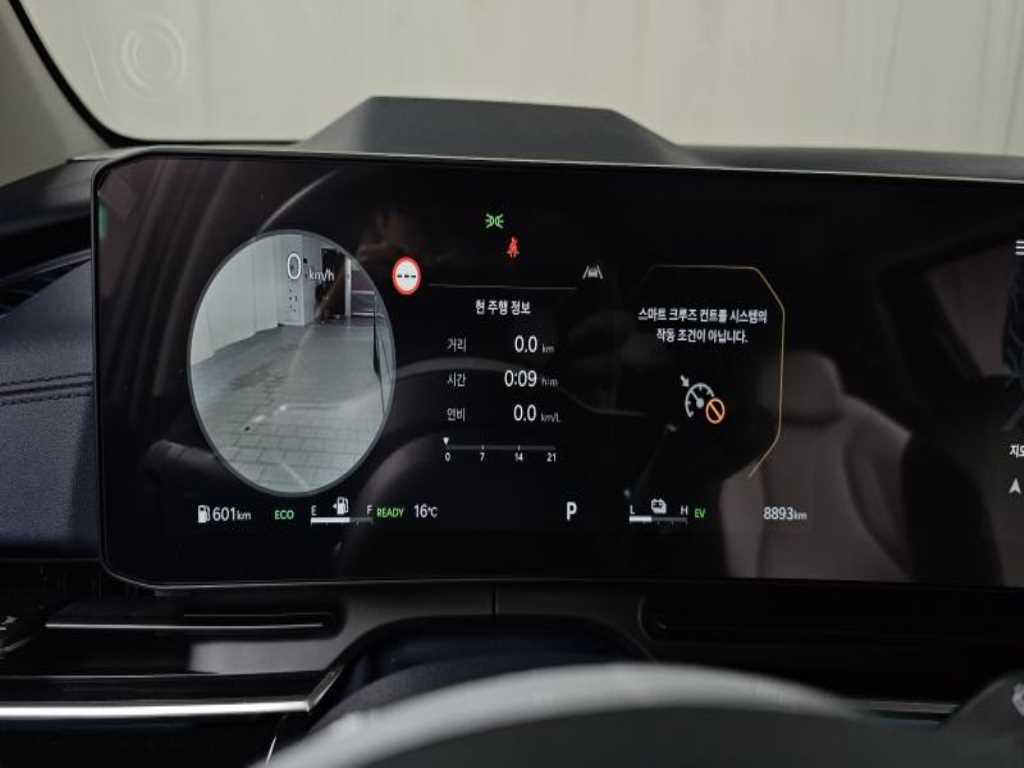 KIA Carnival - Vista 8