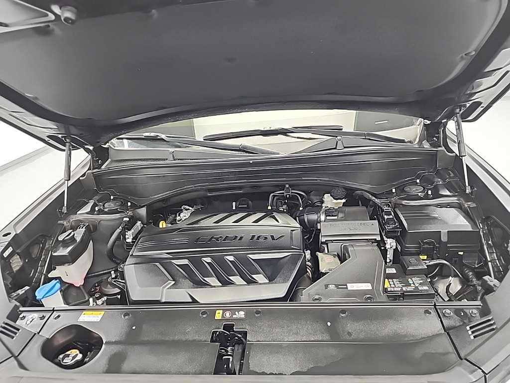 HYUNDAI Palisade - Vista 5