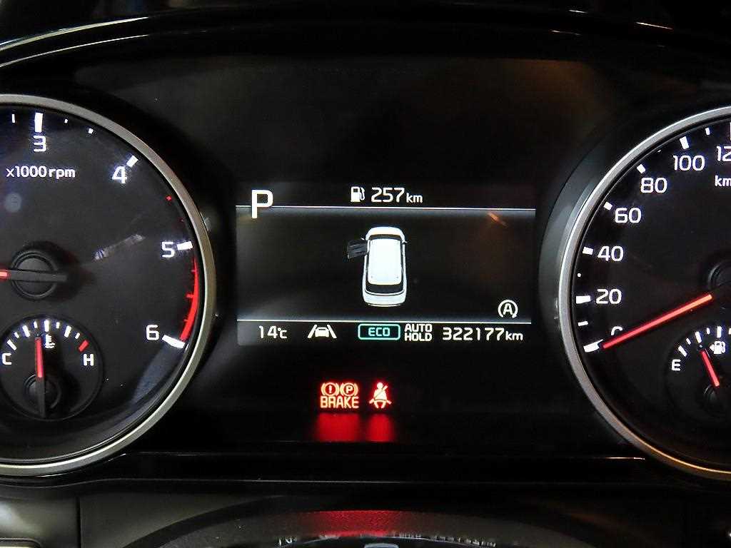 KIA Carnival - Vista 9