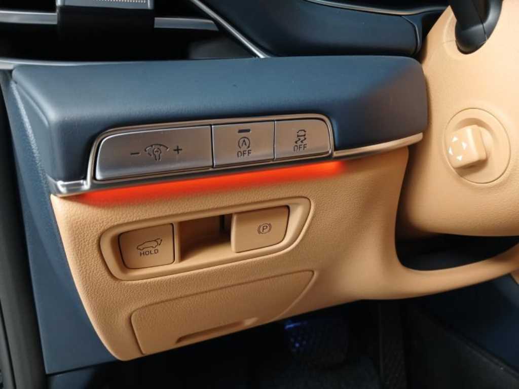 Genesis GV80 - Vista 12