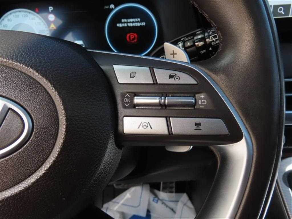 HYUNDAI Palisade - Vista 10