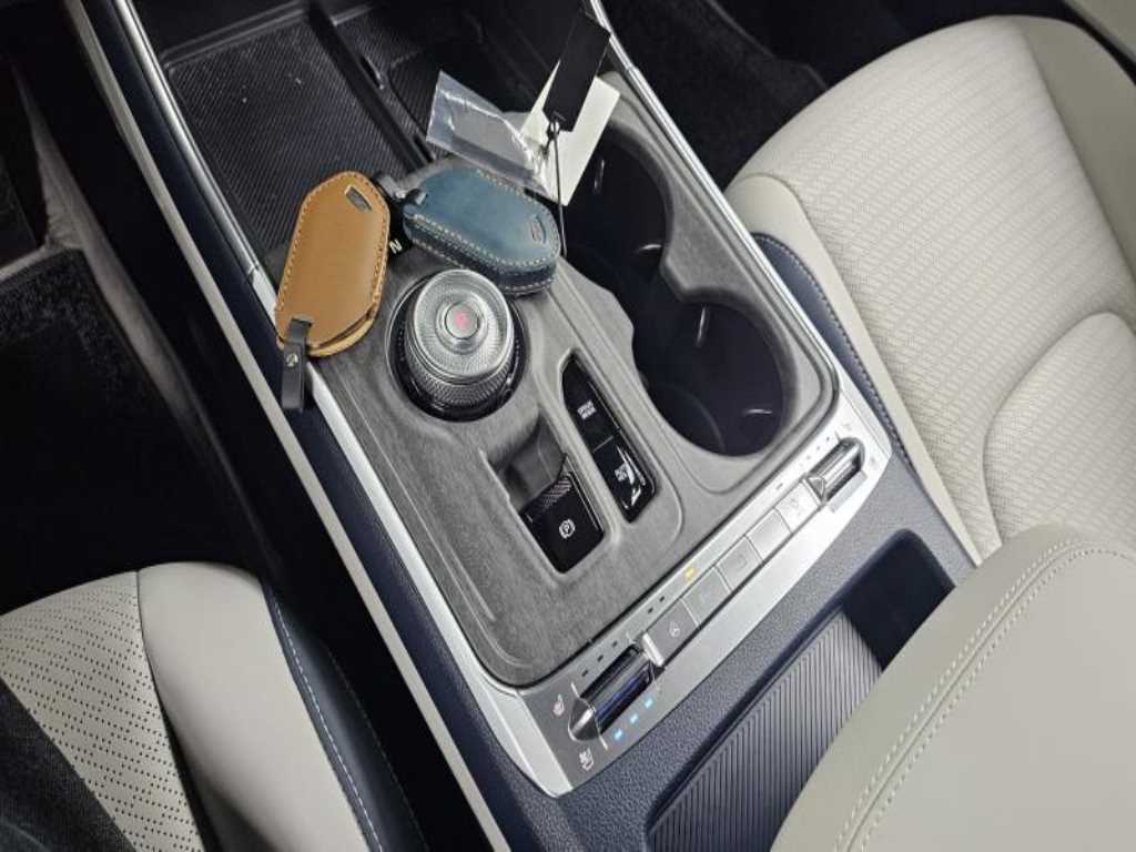 KIA Carnival - Vista 9