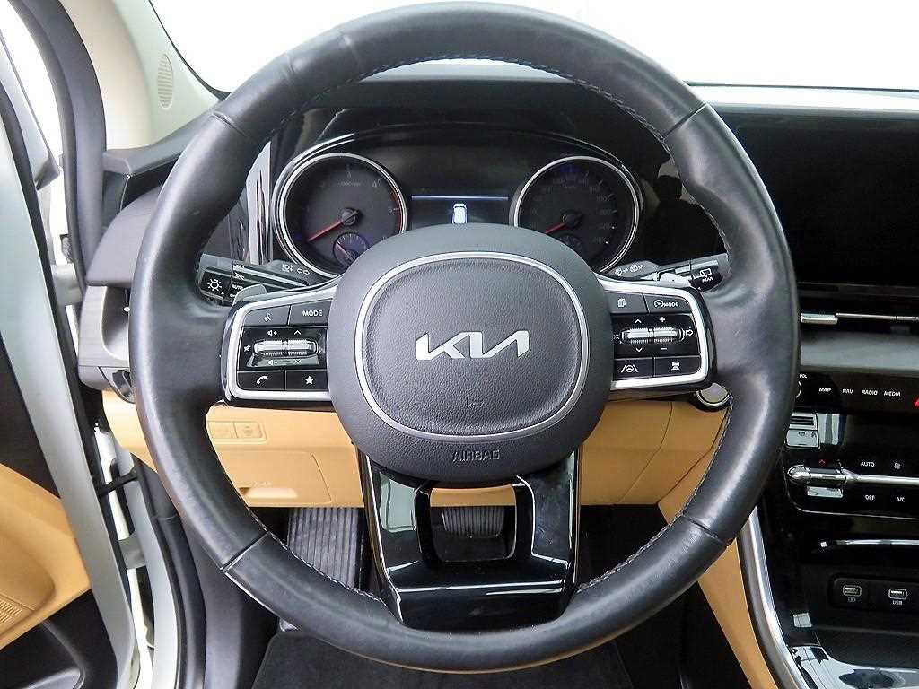 KIA Carnival - Vista 11