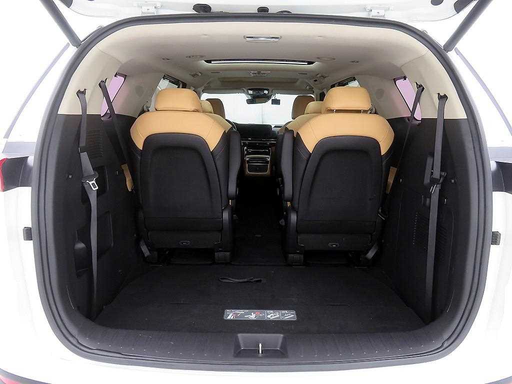 KIA Carnival - Vista 5