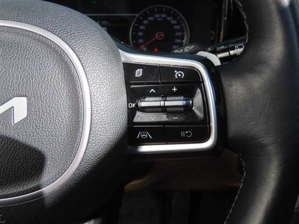 KIA Sorento - Vista 11