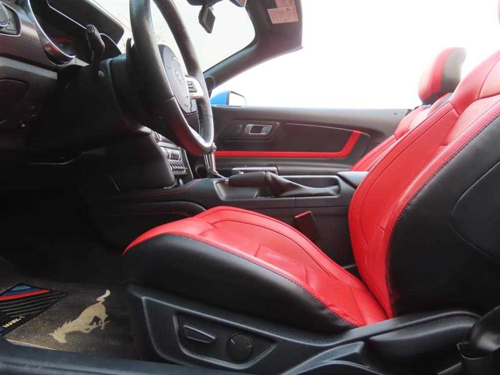 Ford Mustang - Vista 9