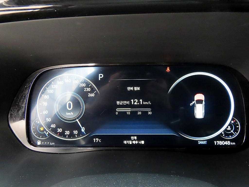 HYUNDAI Palisade - Vista 9