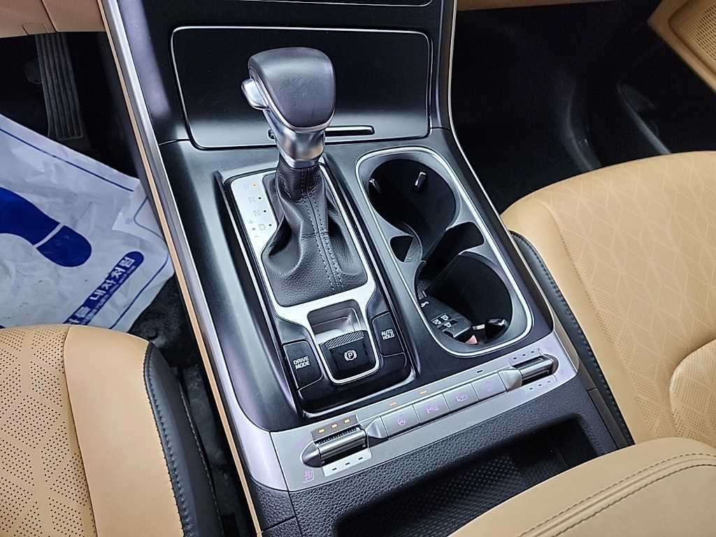 KIA Carnival - Vista 8