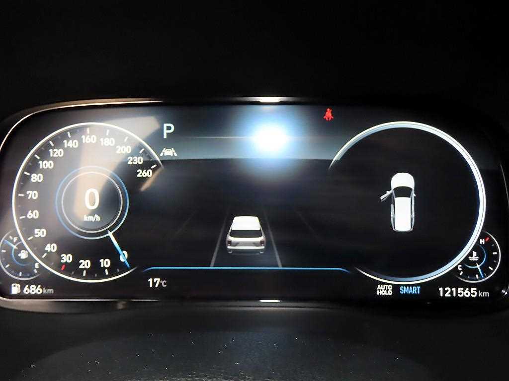 HYUNDAI Palisade - Vista 9