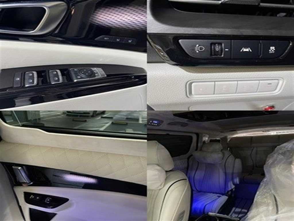 KIA Carnival - Vista 12