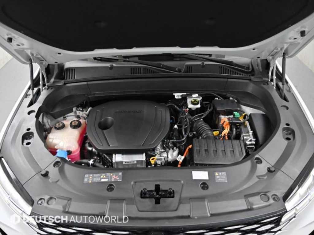 SAMSUNG Grand Koleos - Vista 6