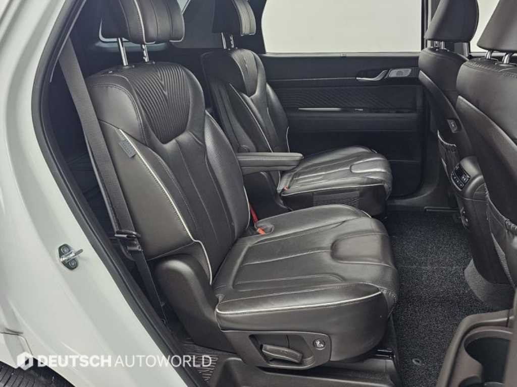 HYUNDAI Palisade - Vista 12