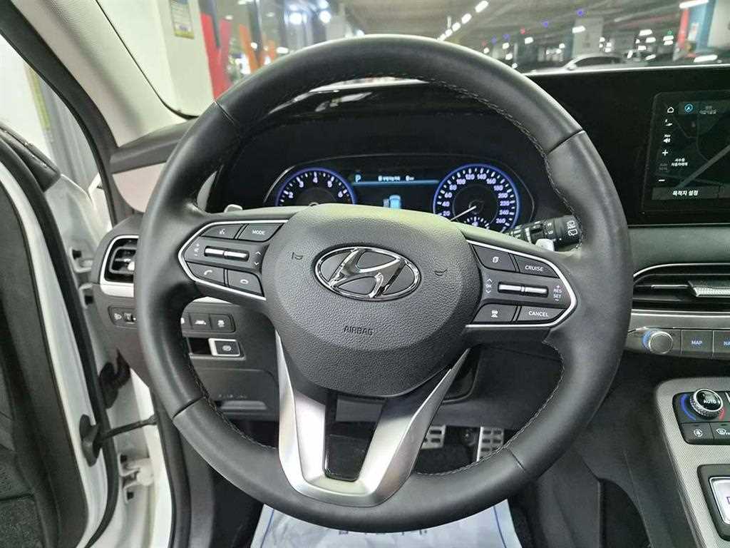 HYUNDAI Palisade - Vista 9