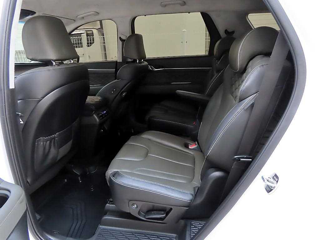 HYUNDAI Palisade - Vista 6