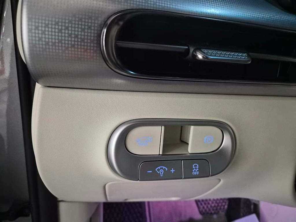 Genesis GV60 - Vista 12