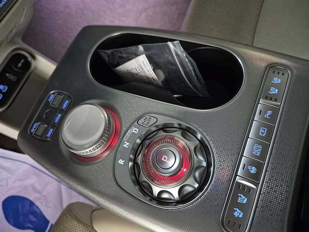 Genesis GV60 - Vista 10