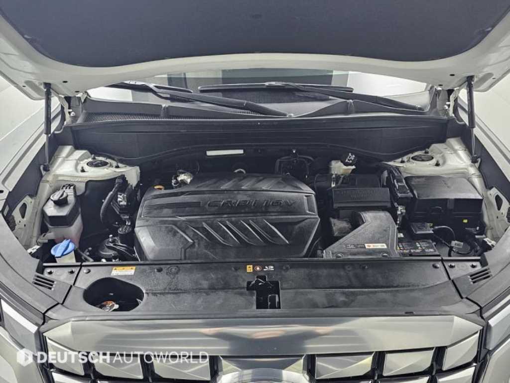 HYUNDAI Palisade - Vista 6