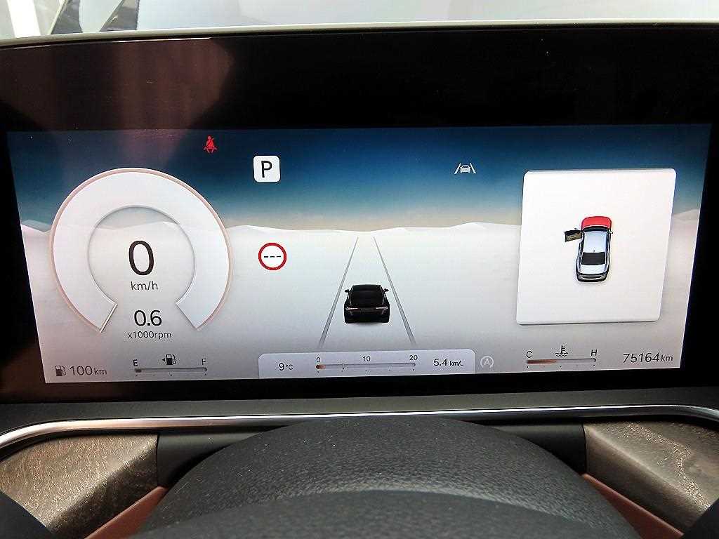 Genesis G90 - Vista 9