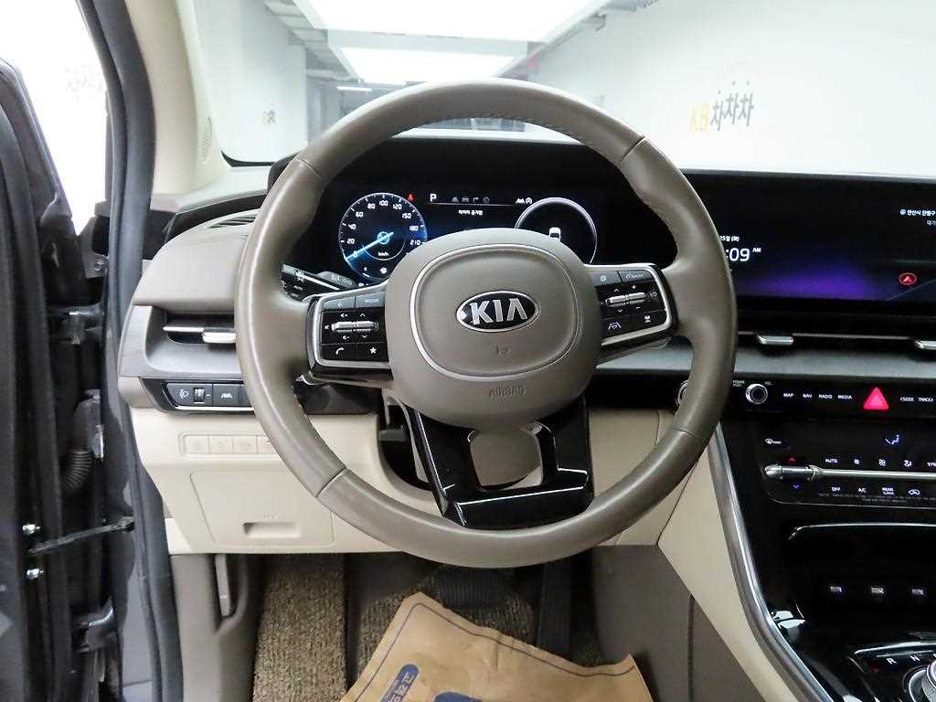 KIA Carnival - Vista 7