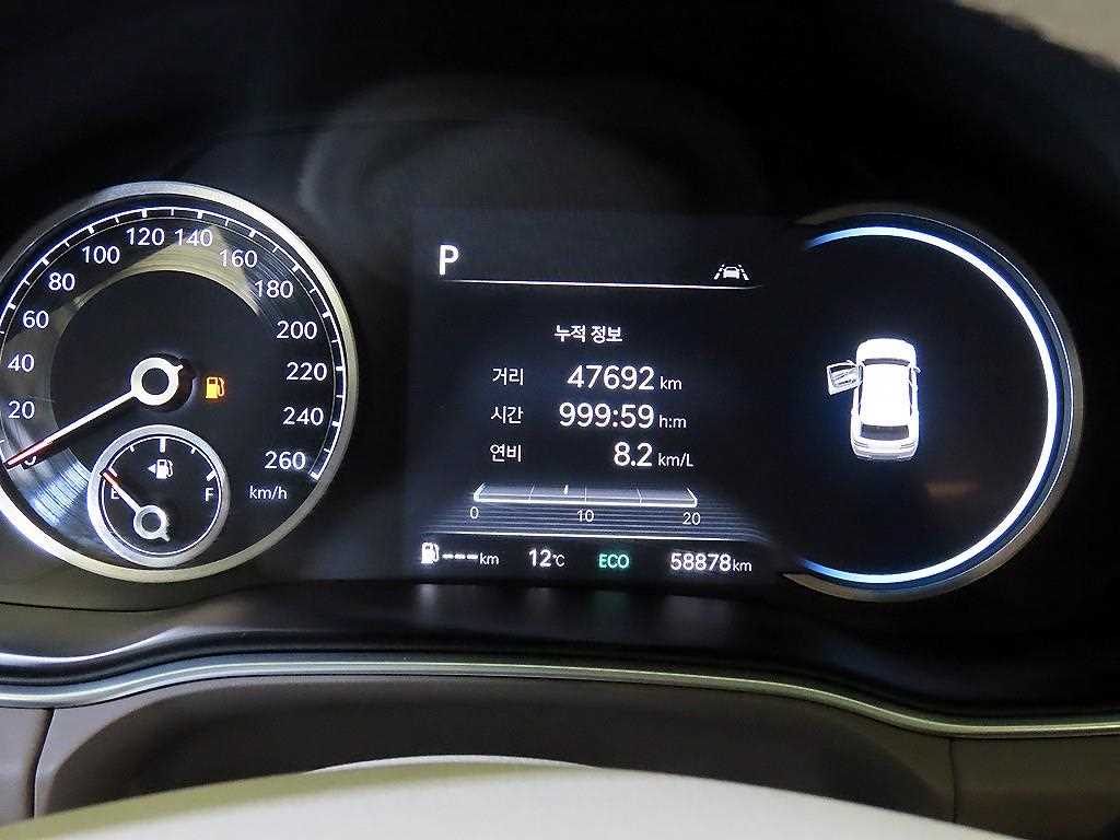 Genesis GV80 - Vista 9