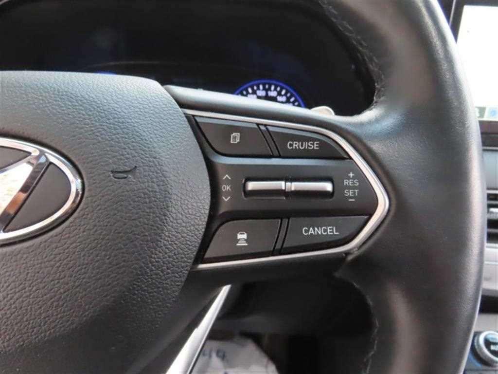 HYUNDAI Palisade - Vista 10