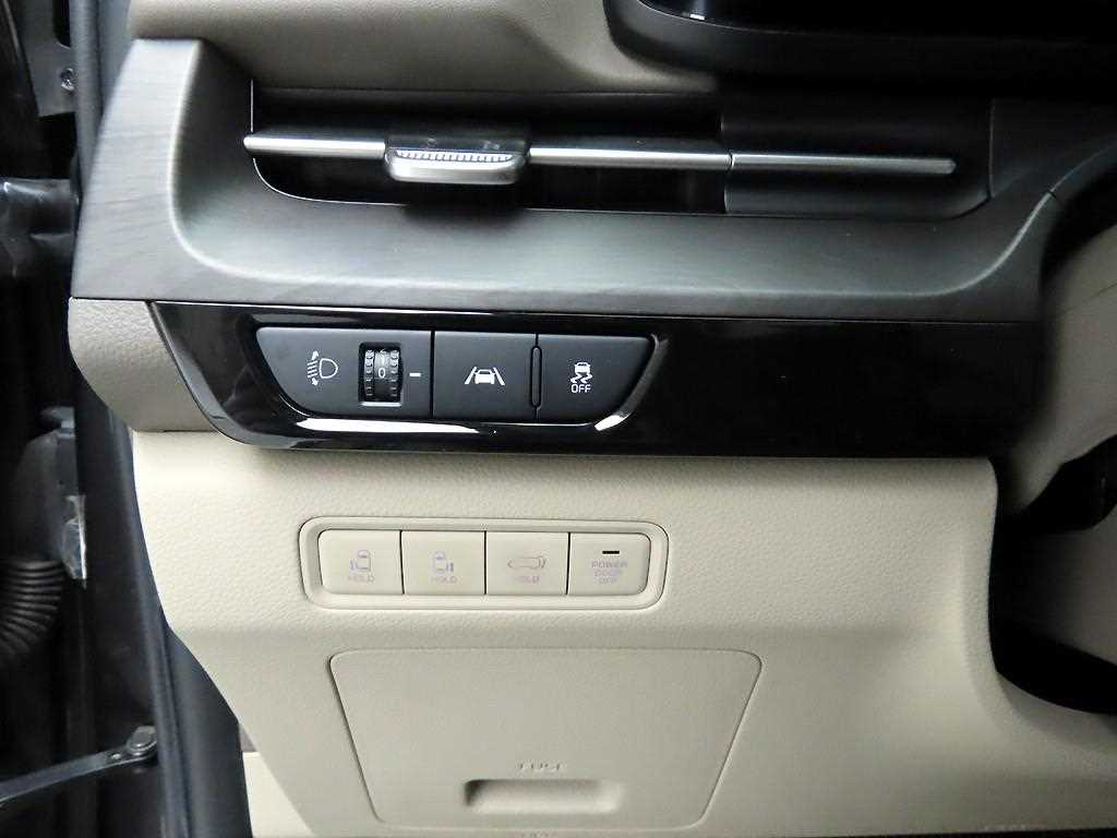 KIA Carnival - Vista 12