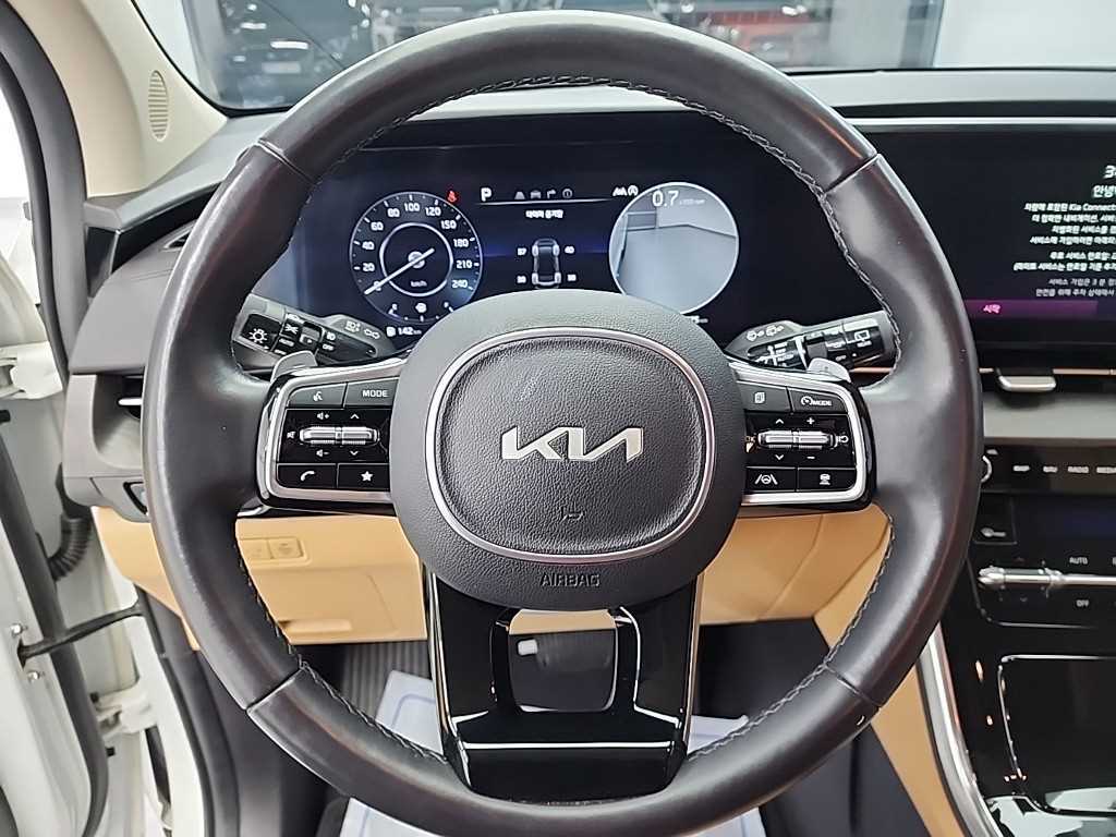 KIA Carnival - Vista 9