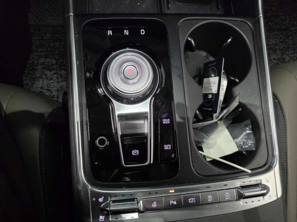 KIA Carnival - Vista 12