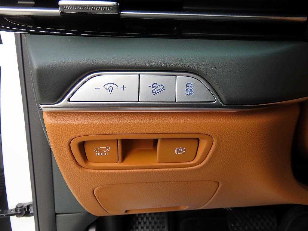 Genesis GV80 - Vista 12