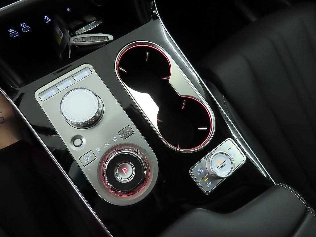 Genesis GV80 - Vista 10