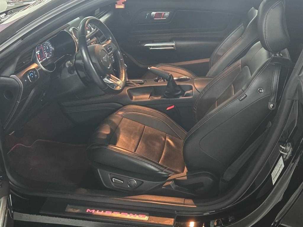 Ford Mustang - Vista 8